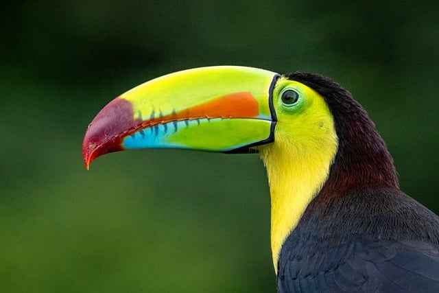 Costa Rica Renewables