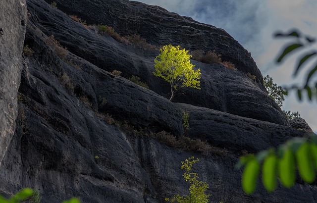 Czechia Coal