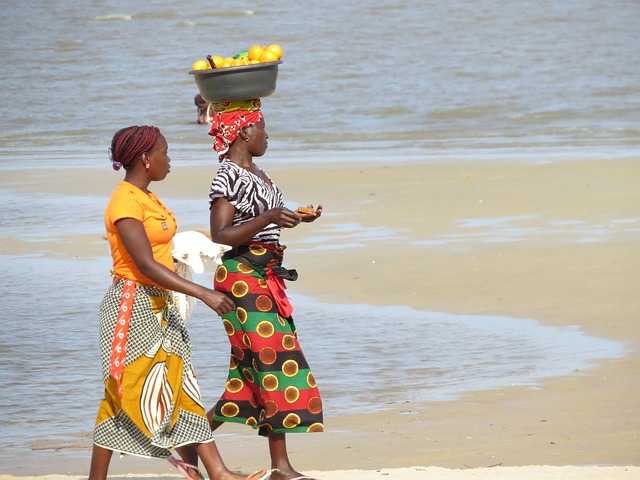 Mozambique Coal