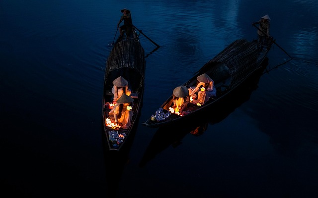 Vietnam Coal