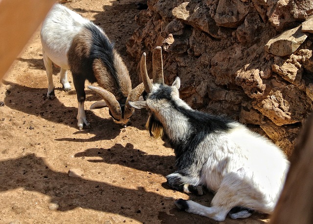 Algeria Infrastructure