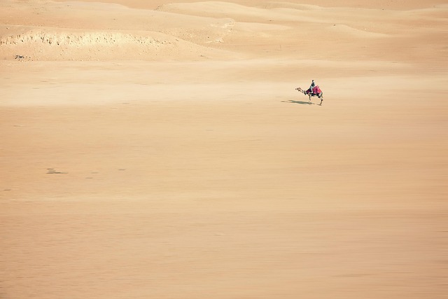 Egypt Renewables