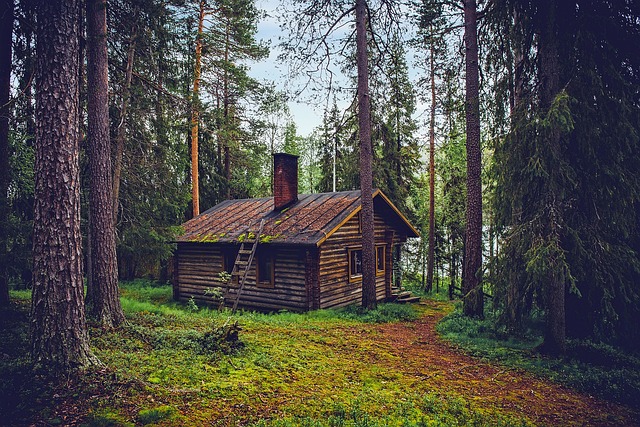 Finland Renewables