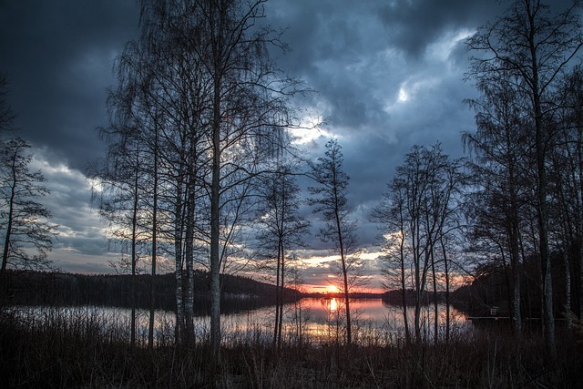 Finland Nuclear