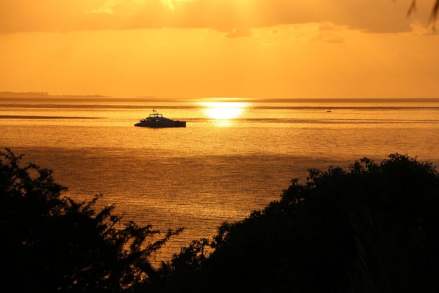 Mozambique Gas