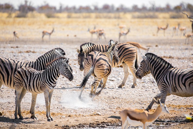 Namibia Renewables