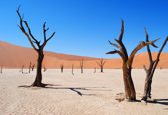 Namibia Nuclear
