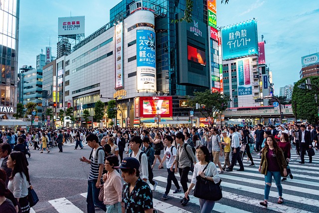 Japan Renewables