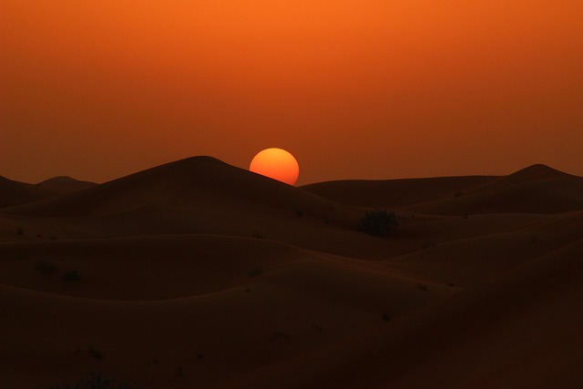 United Arab Emirates Nuclear
